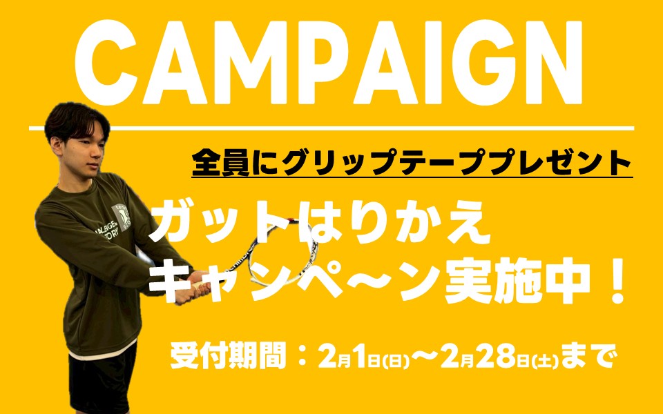 ガットはりかえキャンペーン開催中♪